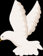 20岁的吴细南高中毕业南下广州谋生