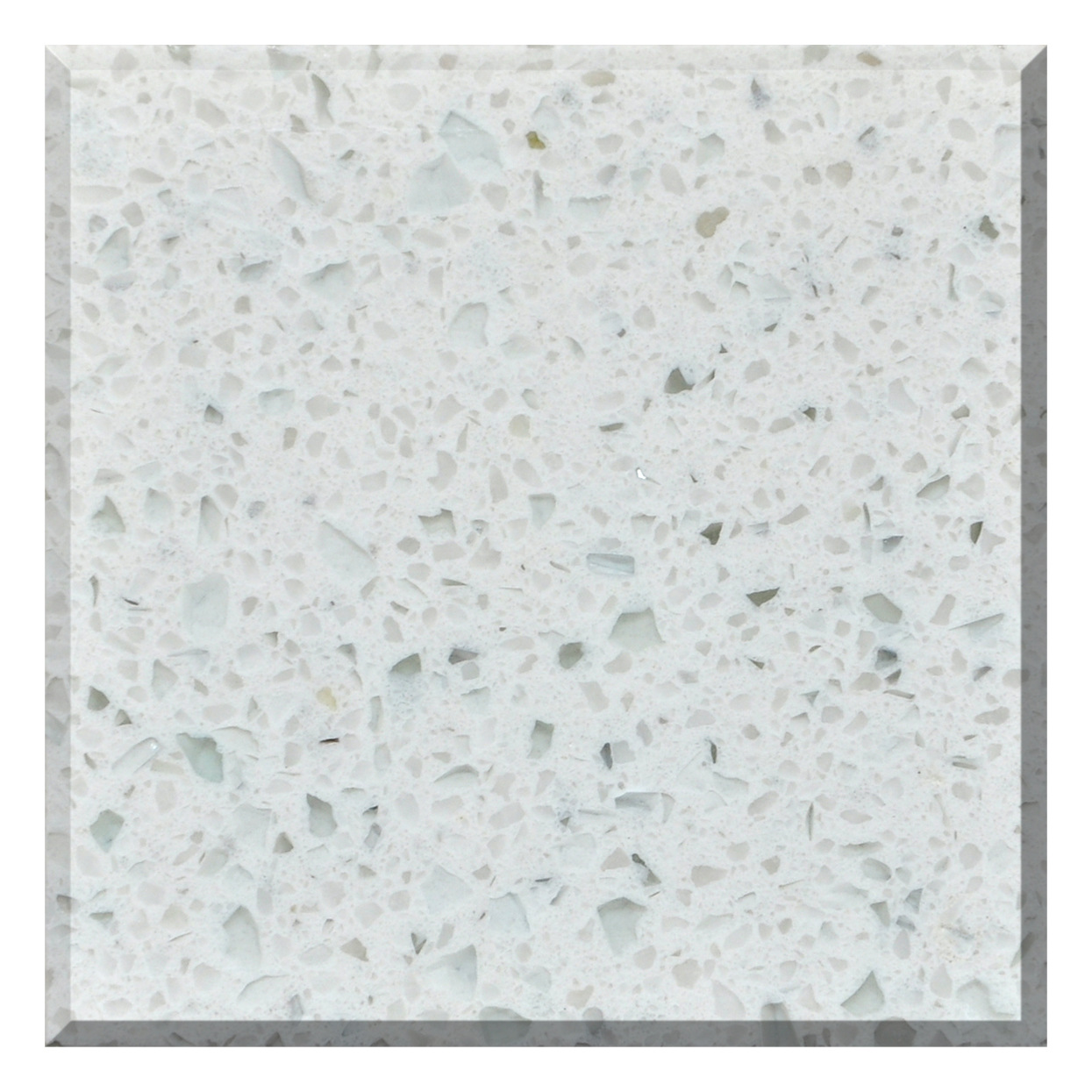 罗胜秘书长在讲话中指出