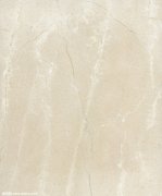 本方案以“轻奢风格”为核心