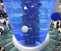 其自主研发的“深海生态模拟系统”被广泛应用